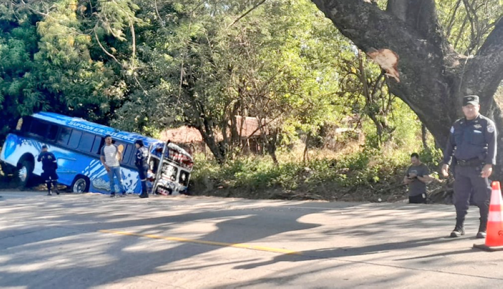 Bus Con Excursionistas Se Precipita A Zanja Y Resultan Varios Pasajeros