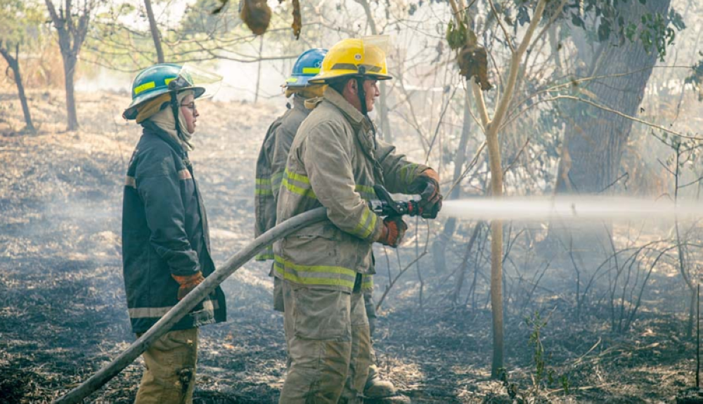 Racha De Incendios Forestales En Al Menos Cinco Departamentos De El