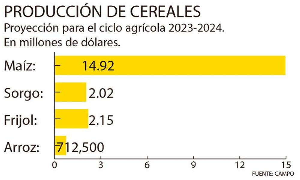 Agricultores prevén 19 8 millones de quintales de granos básicos en