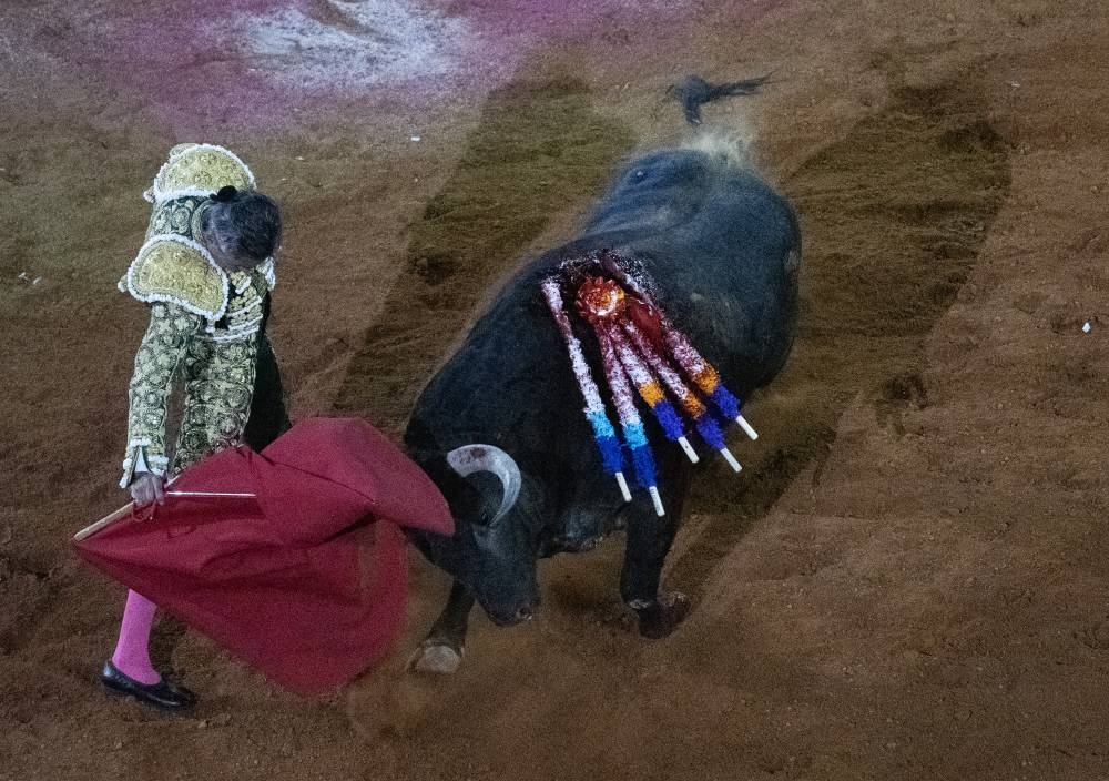 Justicia Suspende Nuevamente Corridas De Toros En Ciudad De M Xico