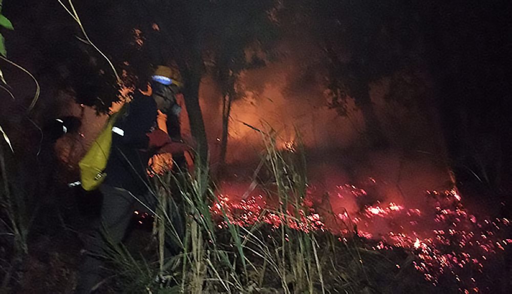 Incendio cosumió una amplia zona de maleza y árboles en la colonia Monserrat.