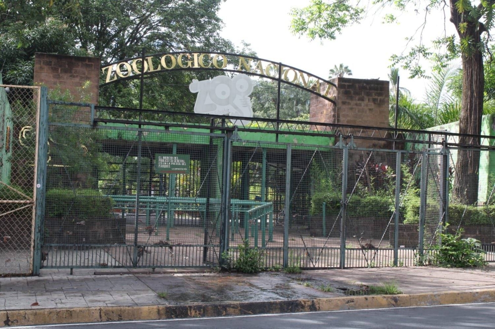 El parque Zoológico Nacional cerró sus puertas después de 69 años de funcionamiento. Fotografía de Dennis Acosta