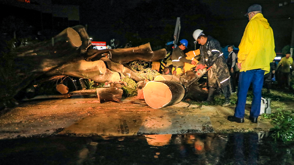 Trabajadores del MOP y Protección Civil retiran restos de un árbol caído en Santa Tecla. /Cortesía.