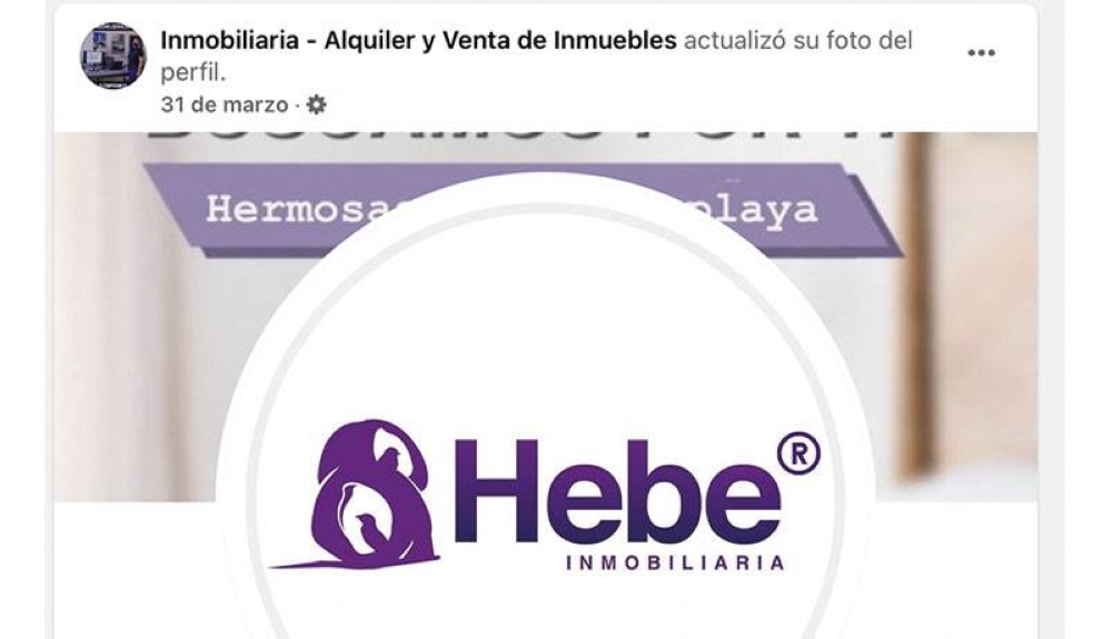La página de Inmobiliaria-Alquiler y Venta de Inmuebles utiliza el logo de la empresa registrada en Colombia. 
