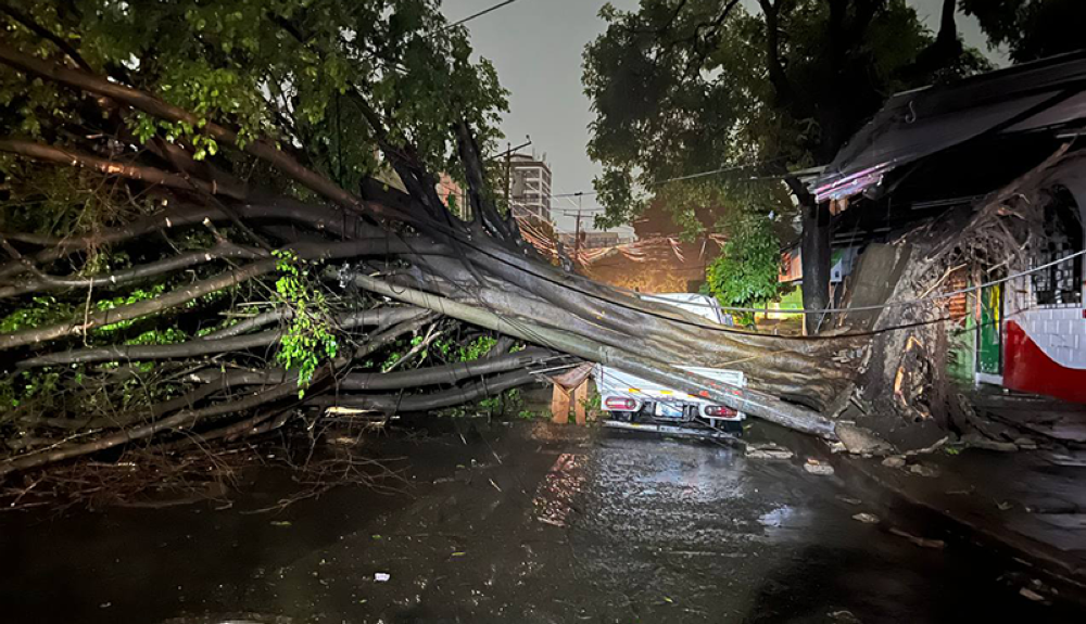 Floods, power outages and downed trees after violent storm in Greater San Salvador