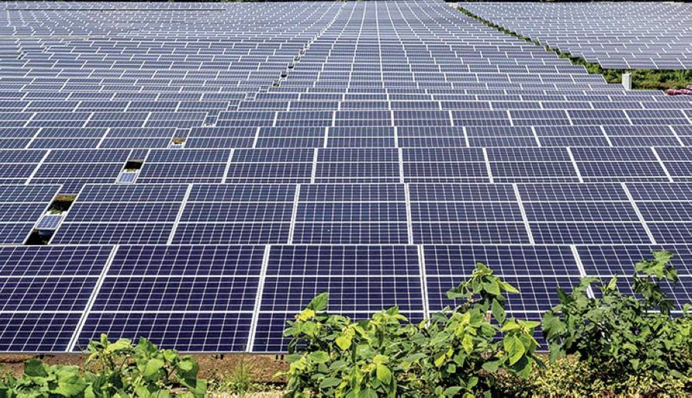 Más de 23,500 hogares salvadoreños se ven beneficiados con energía renovable proveniente de las plantas fotovoltaicas. / DEM