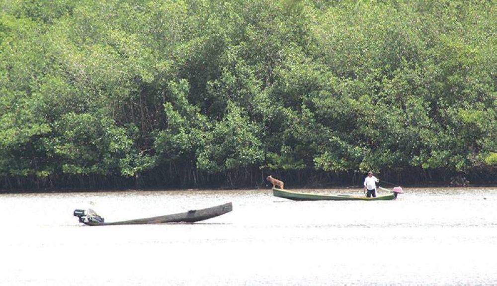 La principal actividad económica de Cuatro Vientes es la pesca y comercio. / Emerson del Cid