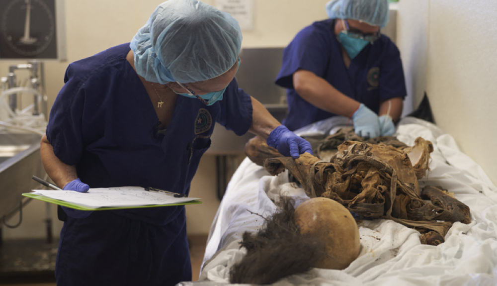 La Dra. Corinne Stern, médico forense jefe del condado de Webb, Texas, y su asistente de autopsia realizan una autopsia en un cuerpo migrante no identificado en Laredo, Texas, el 12 de octubre de 2022. AFP.