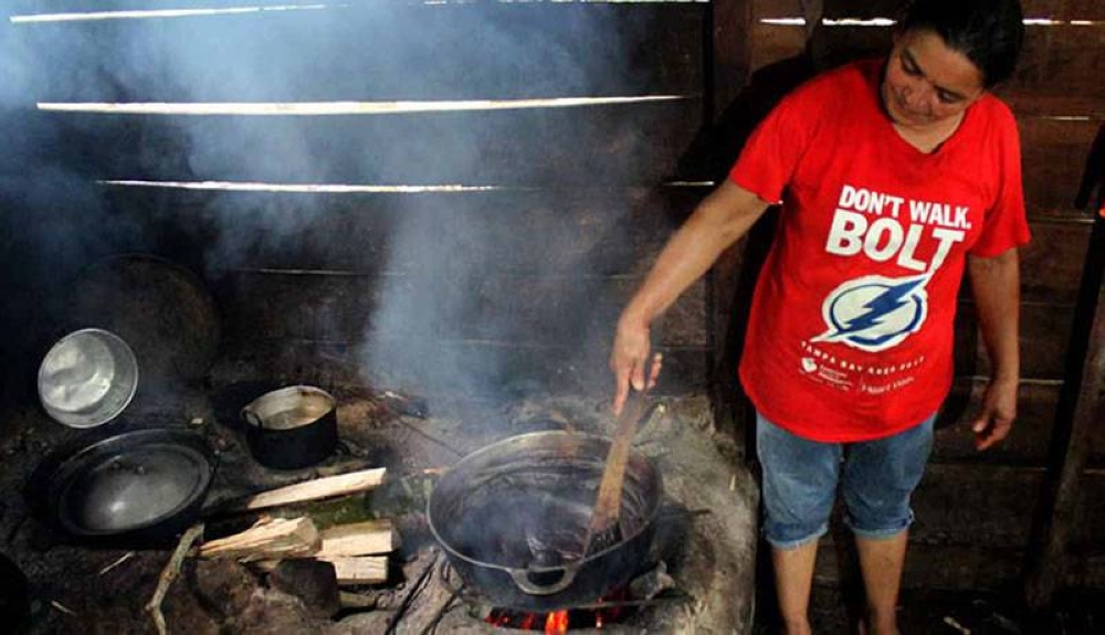 Lo que debes saber al alegir una estufa a leña, Todobra, San Rafael -  Mendoza