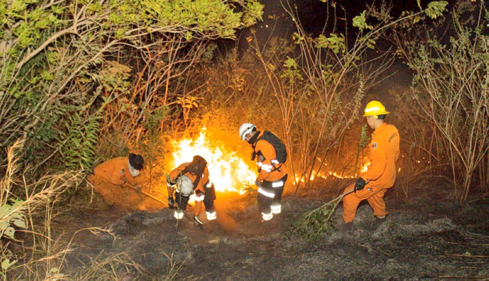 Brigada de Bomberos y Protección Civil establecen brechas para frenar el vanace del fuego entre la meleza. Cortesía CB