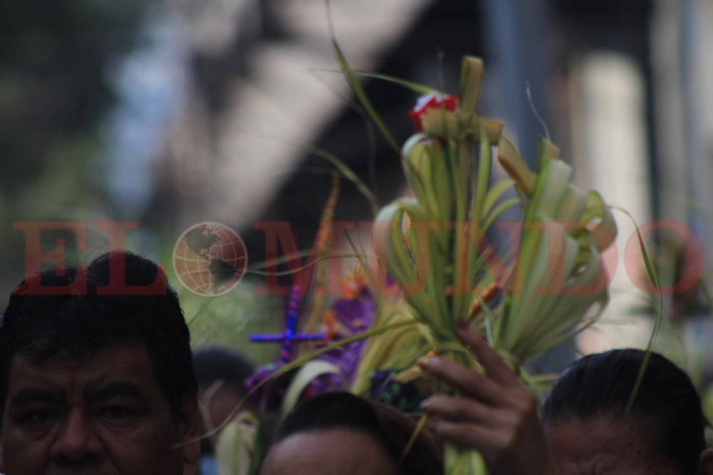 Las palmas son el símbolo del Domingo de Ramos. / Gabriel Aquino. 