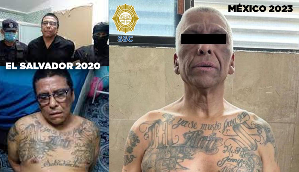 salvadoreño José Wilfredo Ayala Alcantara conocido en el mundo criminal como “El Indio de Hollywood”, arrestado en México / Cortesía SSC.