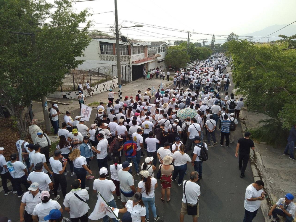 Los participantes de la marcha que respaldó a Bukele iban vestidos de blanco. / Francisco Valle.