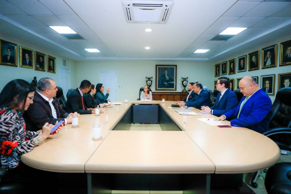 Funcionarios del Tribunal Supremo Electoral, incluso la jefa del Registro Electoral, Xiomara Avilés, participan en la reunión con la canciller de la República, Alexandra Hill Tinoco. / TSE.