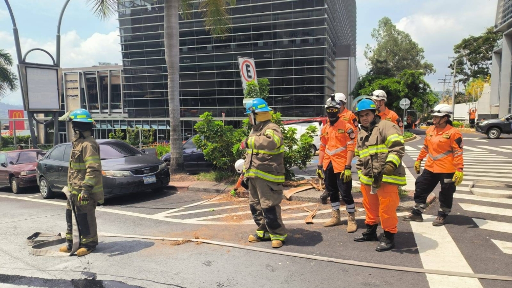 Elementos de Bomberos atendieron el incendio en la Zona Rosa. / cortesía