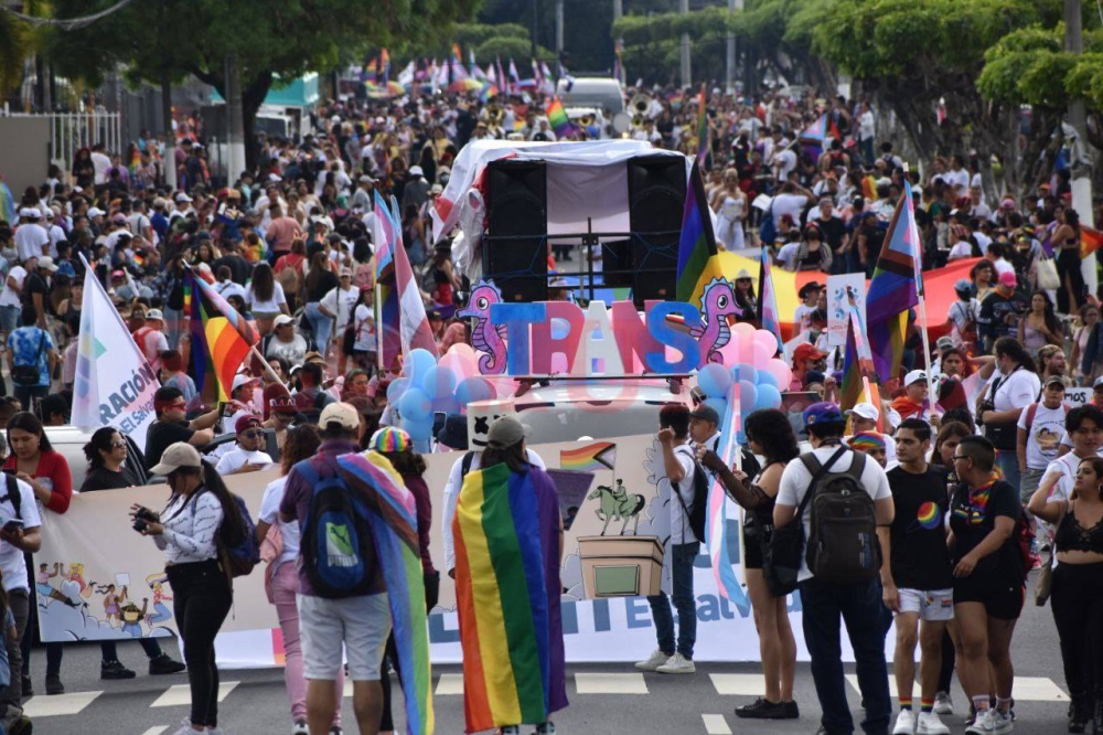 Se vio una multitudinaria marcha / Emerson del Cid.