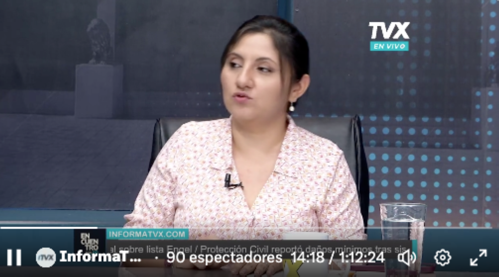 Lourdes Argueta, integrante de la Comisión Política del FMLN. / Imagen de video de TVX.