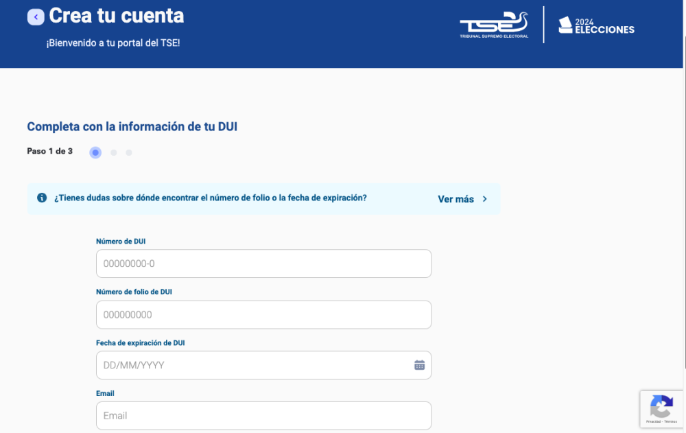 La consulta requiere que el salvadoreño introduzca sus datos, así como su correo electrónico y su número telefónico.