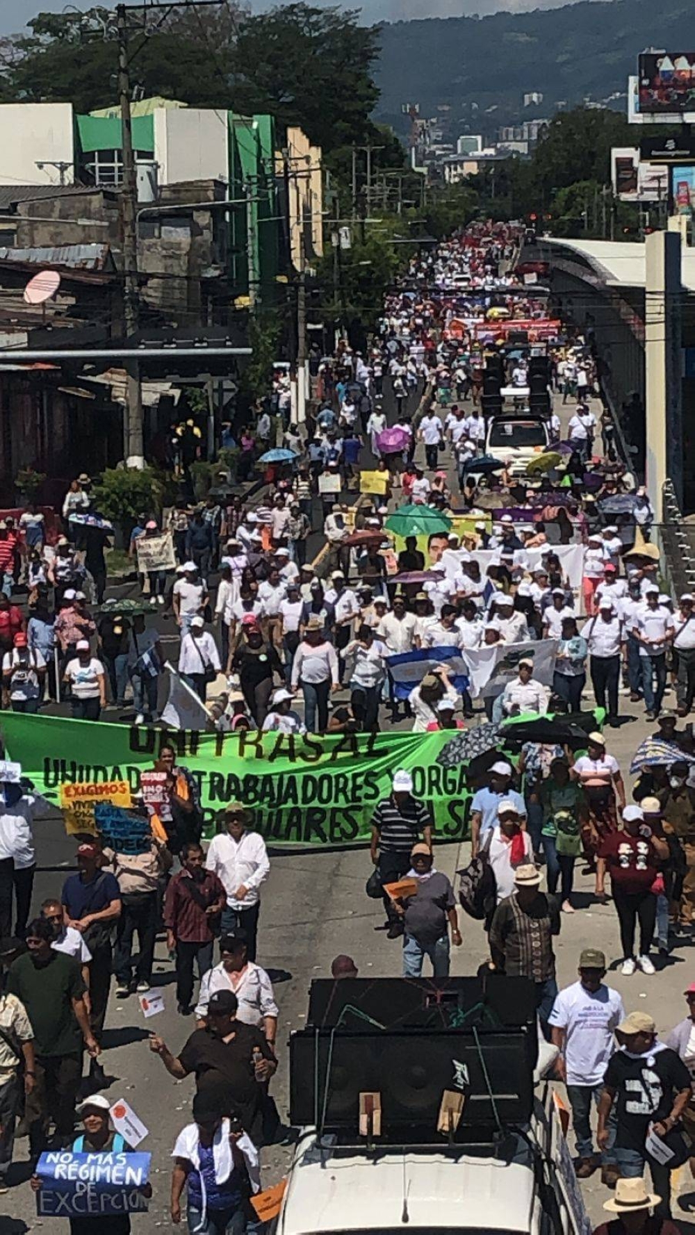 La marcha recorrió la Alameda Juan Pablo II para dirigirse por la Avenida España a la Plaza Gerardo Barrios o Plaza Cívica. / Francisco Valle.