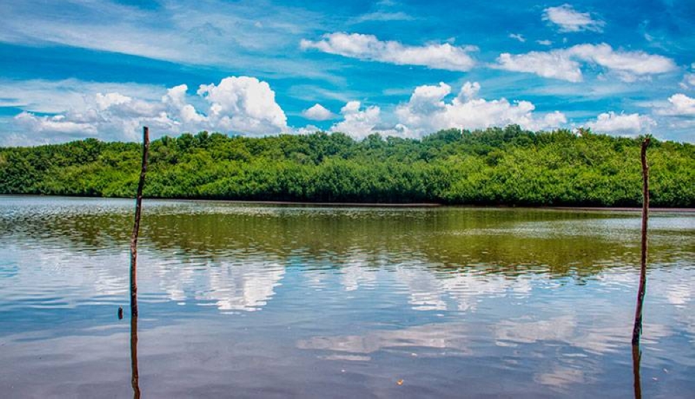 La Barra de Santiago es un área natural protegida que cuenta con más de 11,500 hectáreas de extensión, incluyendo un bosque manglar. / Francisco Valle
