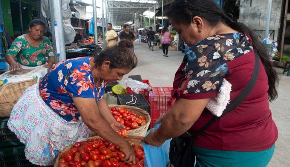 Muchos comerciantes no están comercializando tomates guatemaltecos por su alto precio. / M.R.