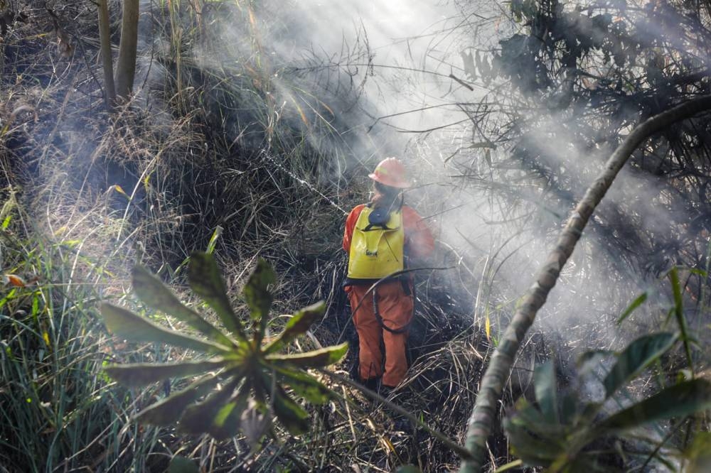 Bomberos sofocaron incendio en maleza.