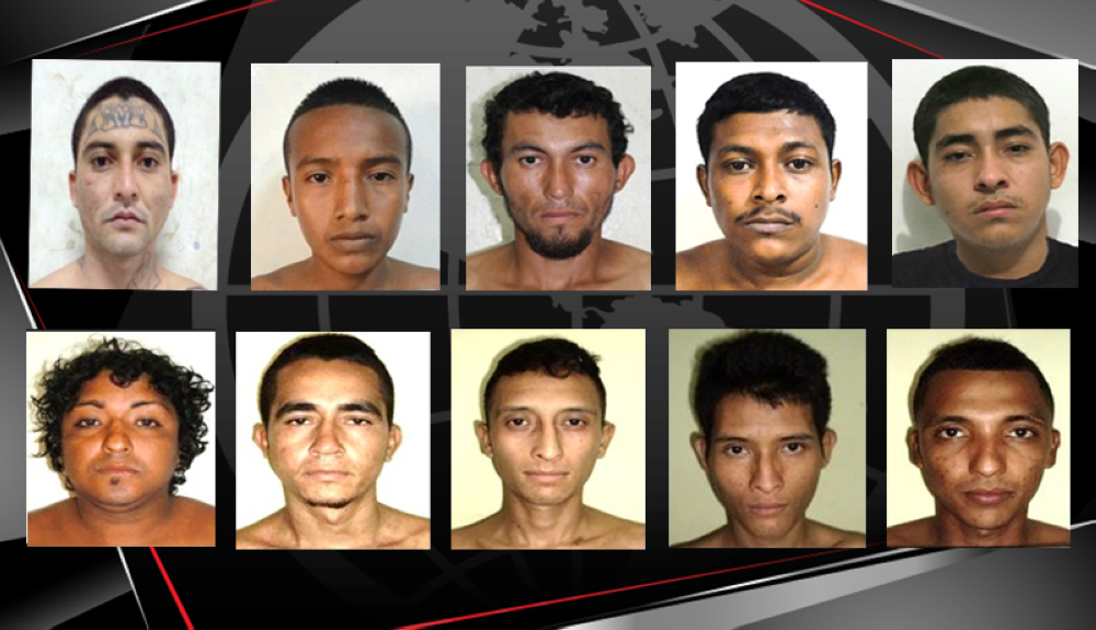 Pandilleros De La Ms 13 Recibieron Hasta 279 Años De Prisión Por