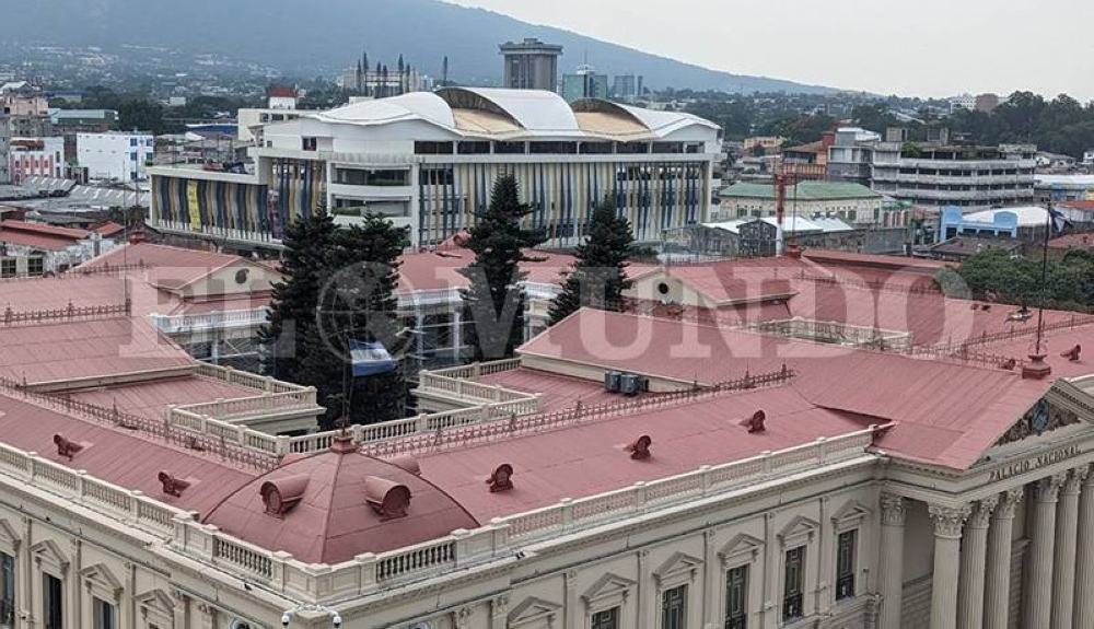 Este medio día, solo cuatro araucarias eran visualizadas desde el jardin del Palacio. / Juan Martínez. 