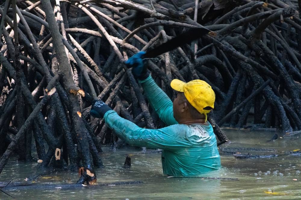 Con equipo de protección, los beneficiados del proyecto trabajan para rescatar un canal de cinco kilómetros en el bosque salado. /Alexander Montes 