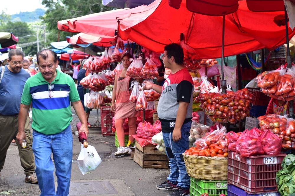 Los tomates han bajado de precio, confirmaron los comerciantes. /Juan Martínez
