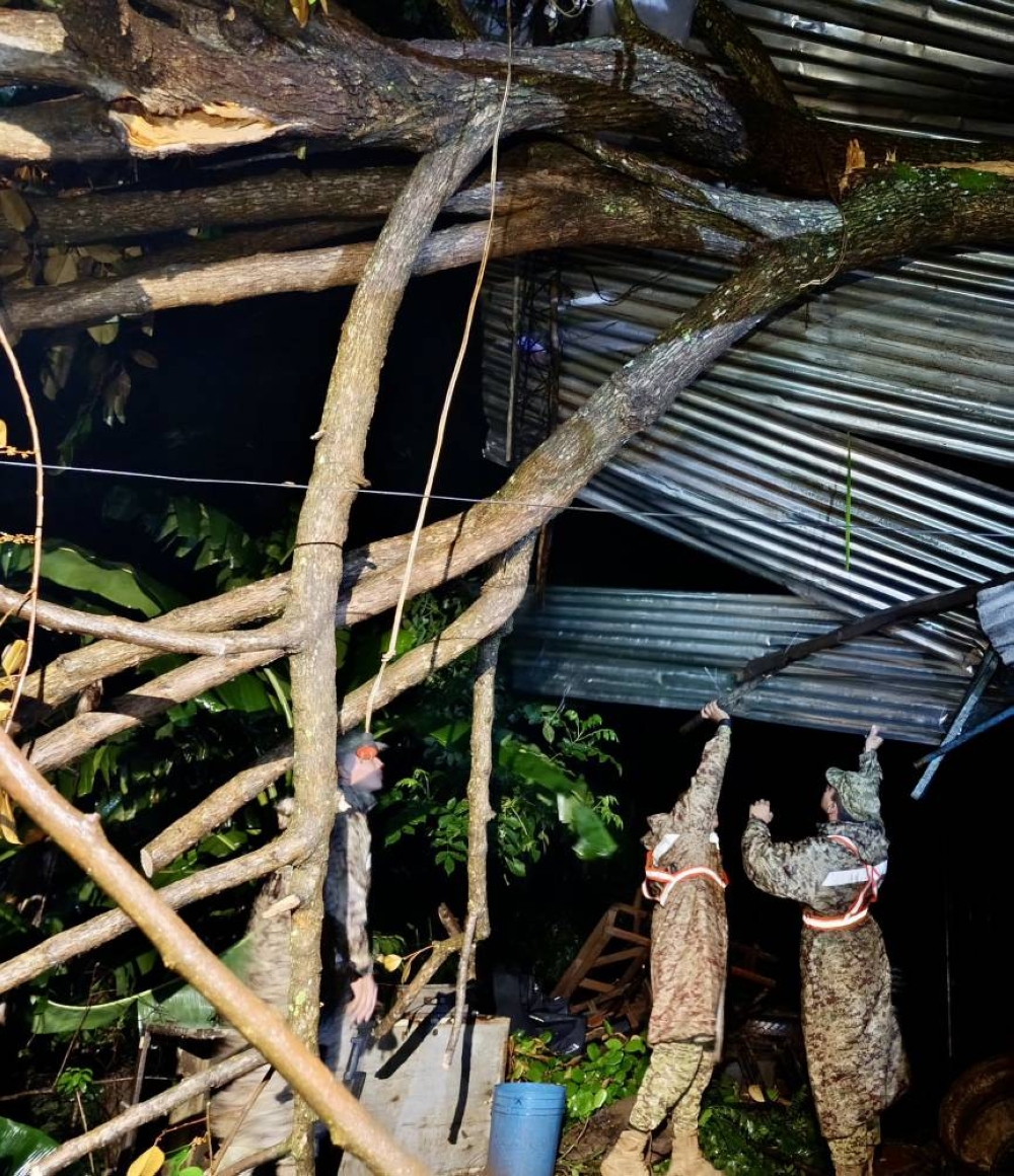 Un árbol cayó sobre una vivienda. Fue removido. / Fuerza Armada.