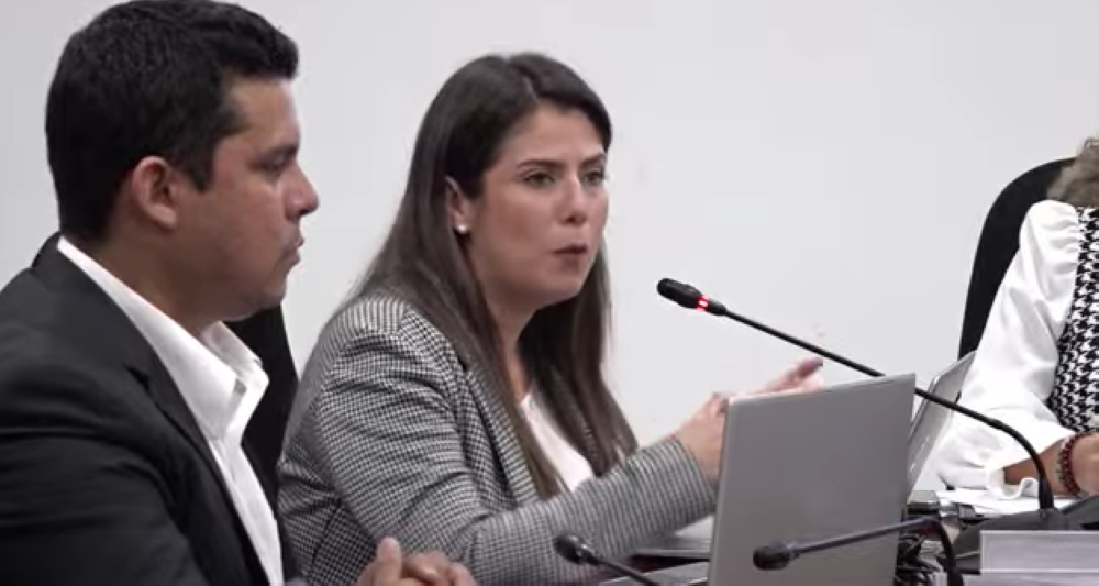 La directora de inversiones del Ministerio de Economía, Clarisa Valdebran, en la Comisión de Salvadoreños en el Exterior, Legislación y Gobierno. / AsambleaSV.,image_description: