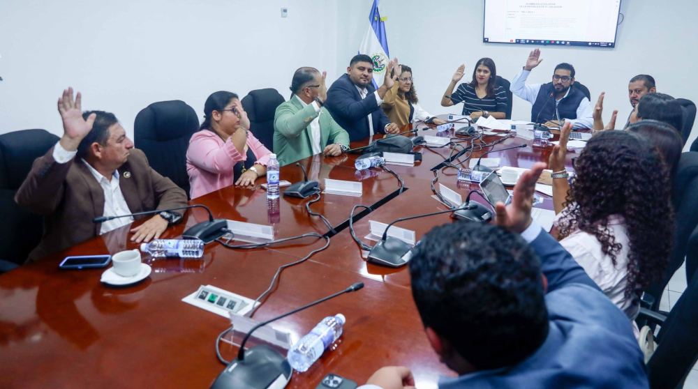 La Comisión de Infraestructura de la Asamblea Legislativa. / AsambleaSV.,image_description: