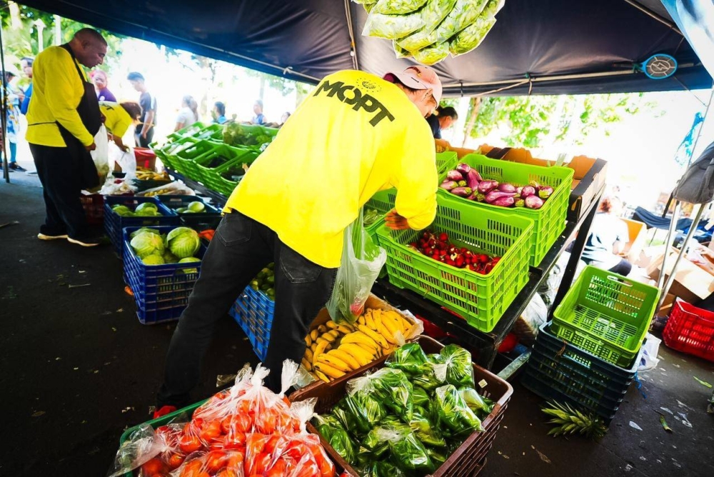 Agromercado del parque Daniel Hernández, en Santa Tecla. / SantaTeclaSV,image_description: