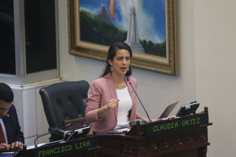 Claudia Ortiz, diputada de Vamos. / Lisbeth Ayala.,image_description: