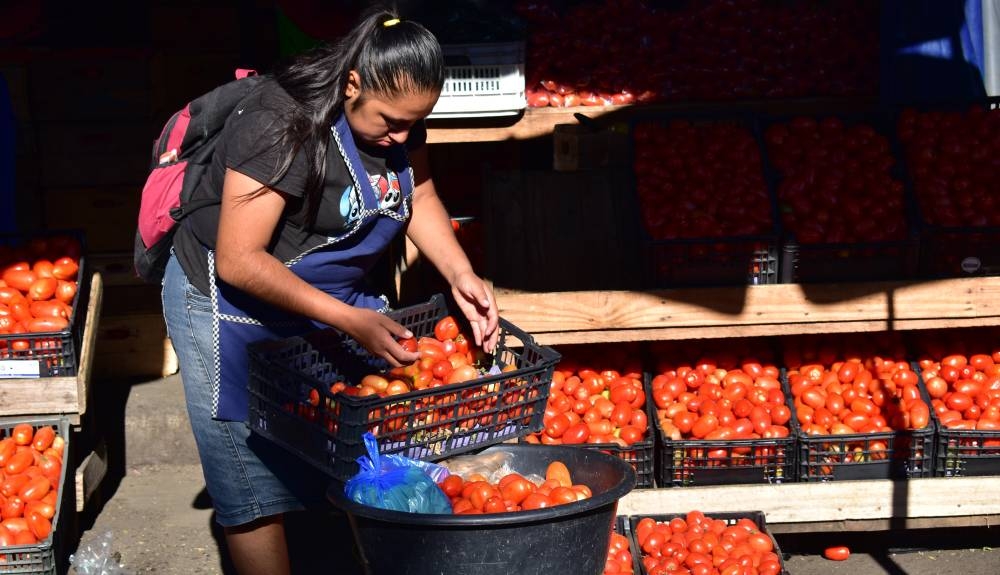 Los tomates de ensalada subieron hasta un 79.3  su precio mientras que el cilantro incrementó un 112.3 . /Juan Martínezn,image_description: