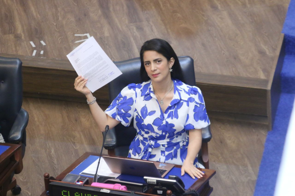 Claudia Ortiz muestra su propuesta de reforma al Código de Trabajo. / Lisbeth Ayala.,image_description: