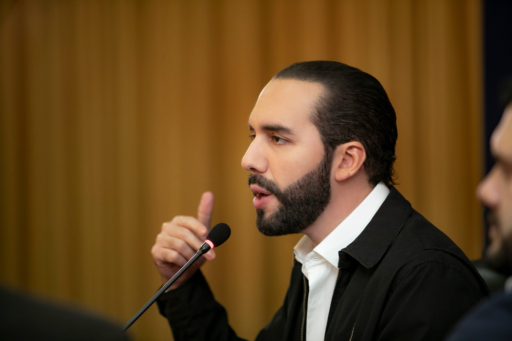 Nayib Bukele, presidente de la República. / Presidencia.,image_description: