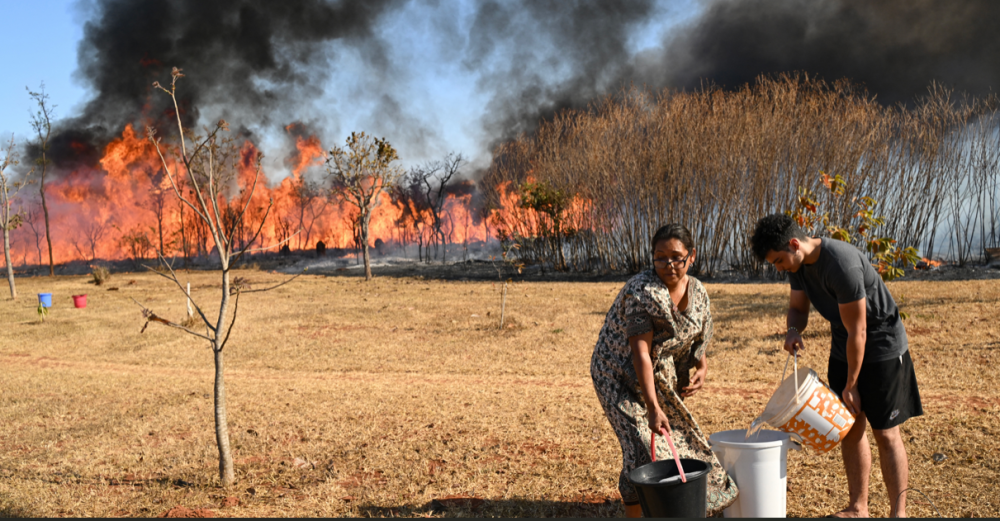 El Parque Nacional de Brasilia sufrió graves incendios/ Foto AFP.,image_description: