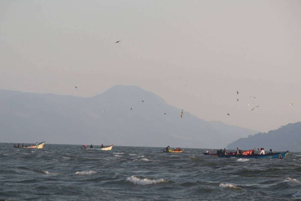 Los resultados fueron dados a conocer el 6 de septiembre y detallan que las muestras de agua marina realizadas, en cuatro puntos del Golfo de Fonseca fueron sometidas a análisis de clorofila u201cau201d, nitrógeno total, fósforo total y se registraron parámetros fisicoquímicos en cada punto./ DEMn,image_description: