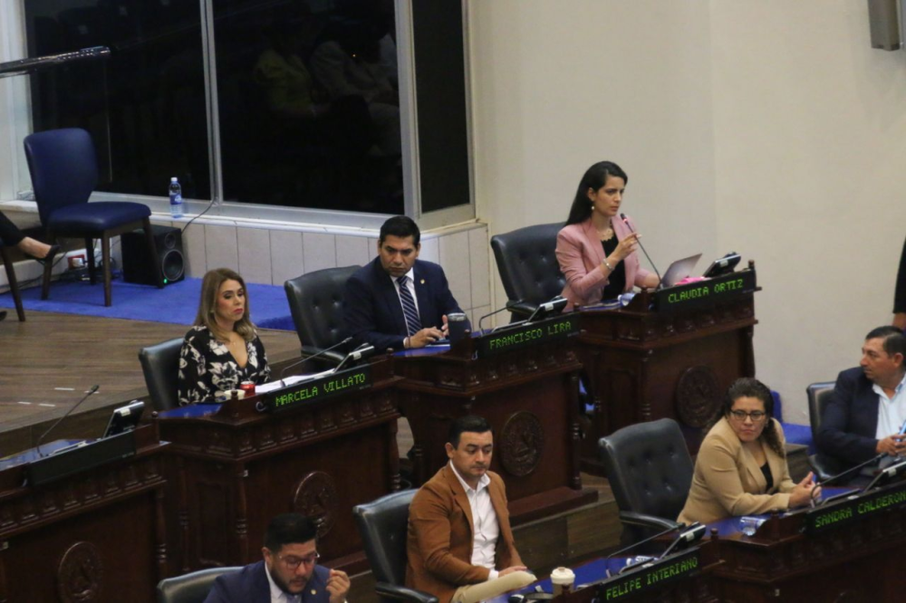 La diputada Claudia Ortiz (Vamos) propuso exigir a los inversionistas beneficiados la construcción de viviendas de interés social. / Lisbeth Ayala.