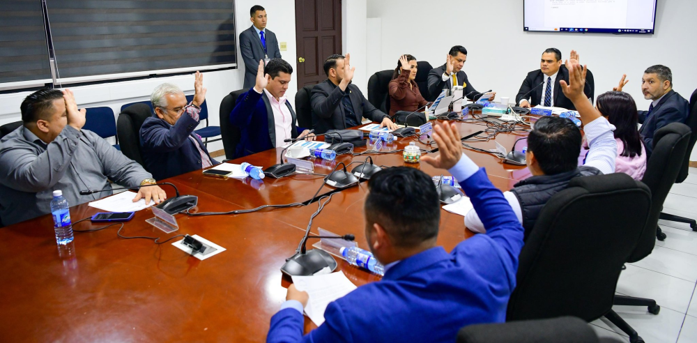 La Comisión de Seguridad Nacional de la Asamblea Legislativa aprueba las disposiciones transitorias para legalizar armas. / AsambleaSV.,image_description: