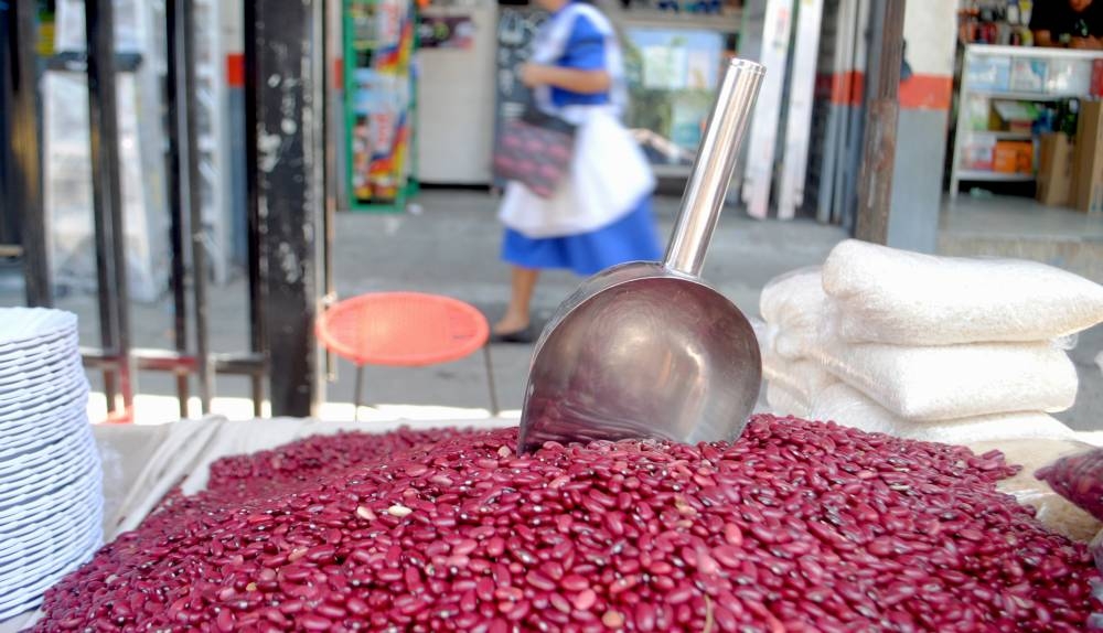 En junio pasado, Campo previó que se cultivarían más de 1.8 millones de quintales de frijoles. /DEM,image_description: