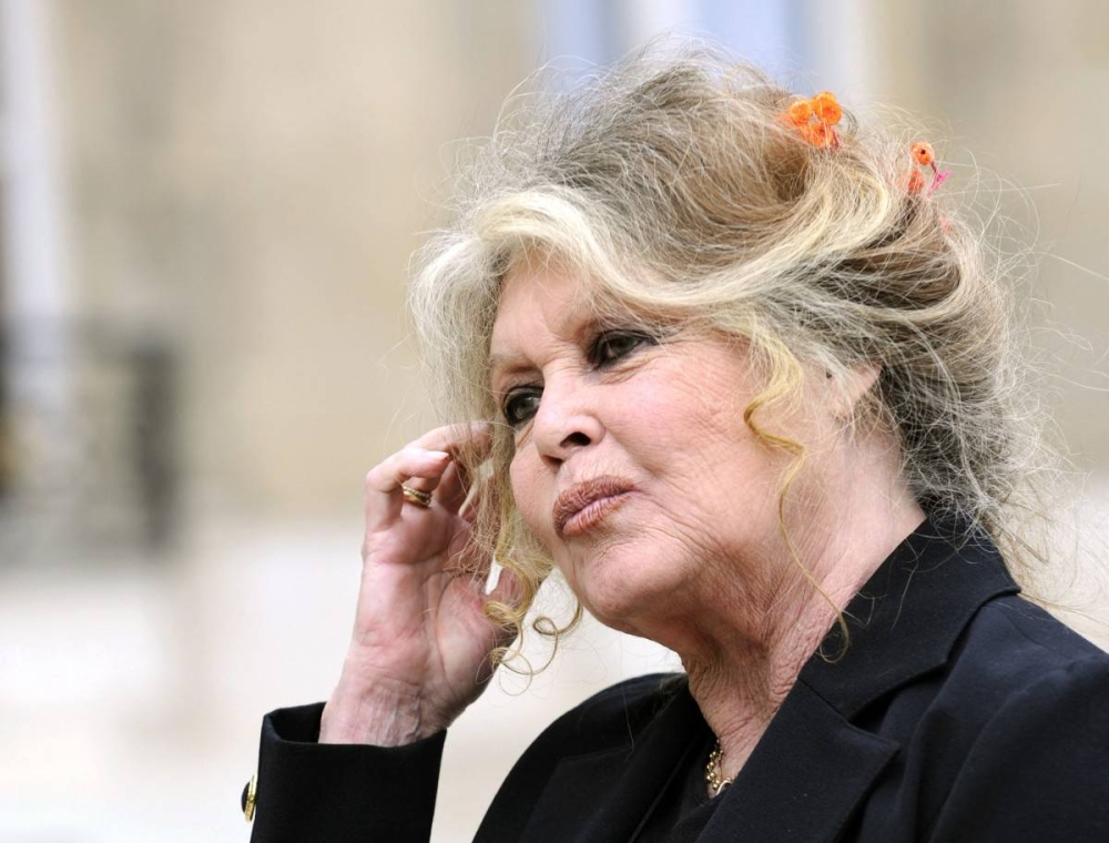 Foto de archivo de Brigitte Bardot en 2007. Photo by Eric Feferberg / AFP