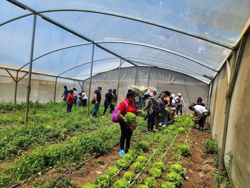 Agricultores locales ofrecen a los turistas la oportunidad de adquirir productos frescos y disfrutar de la gastronomía local.