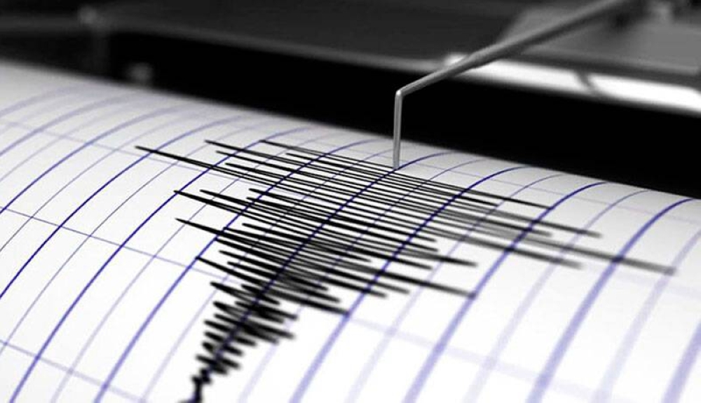 Esta mañana el Marn registró un sismo de magnitudu00a03.9 en escala de Richteru00a0frente a la costa de Usulután. / Foto DEM.,image_description: