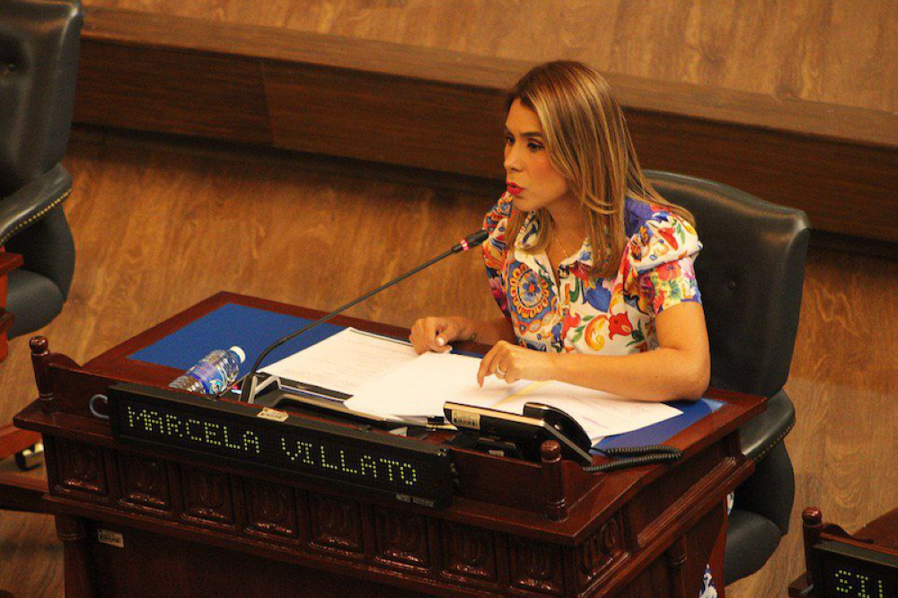 Marcela Villatoro, diputada de ARENA/ Alexander Montes ,image_description: