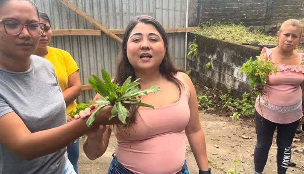 Madres de familia muestran las plantas destruidas por los trabajadores municipales. /Vídeo,image_description: