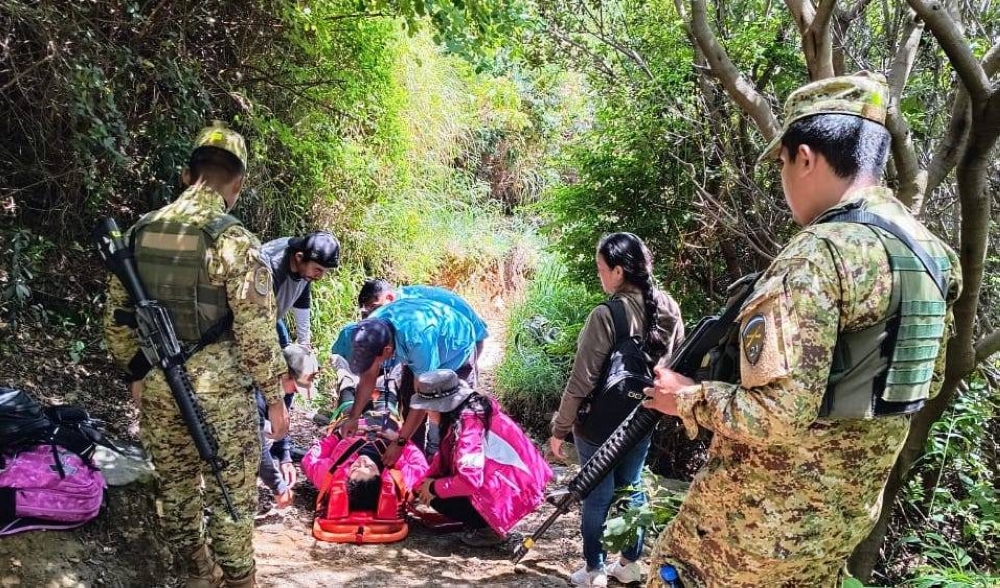 Un ataque de abejas sufrió un grupo de turistas en el Cerro Verde. / Fuerza Armada.,image_description: