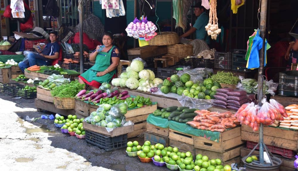 El manojo de cilantro y perejil se comercializó a 2.26 y 1.20 durante la primera semana de octubre. /DEM,image_description: